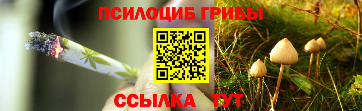 Галлюциногенные грибы MAGIC MUSHROOMS  где можно купить   Вход с VPN  Анжеро-Судженск  Псилоцибиновые грибы MAGIC MUSHROOMS 