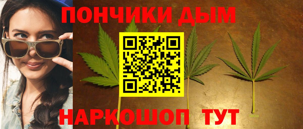 Бошки марихуана конопля Анжеро-Судженск